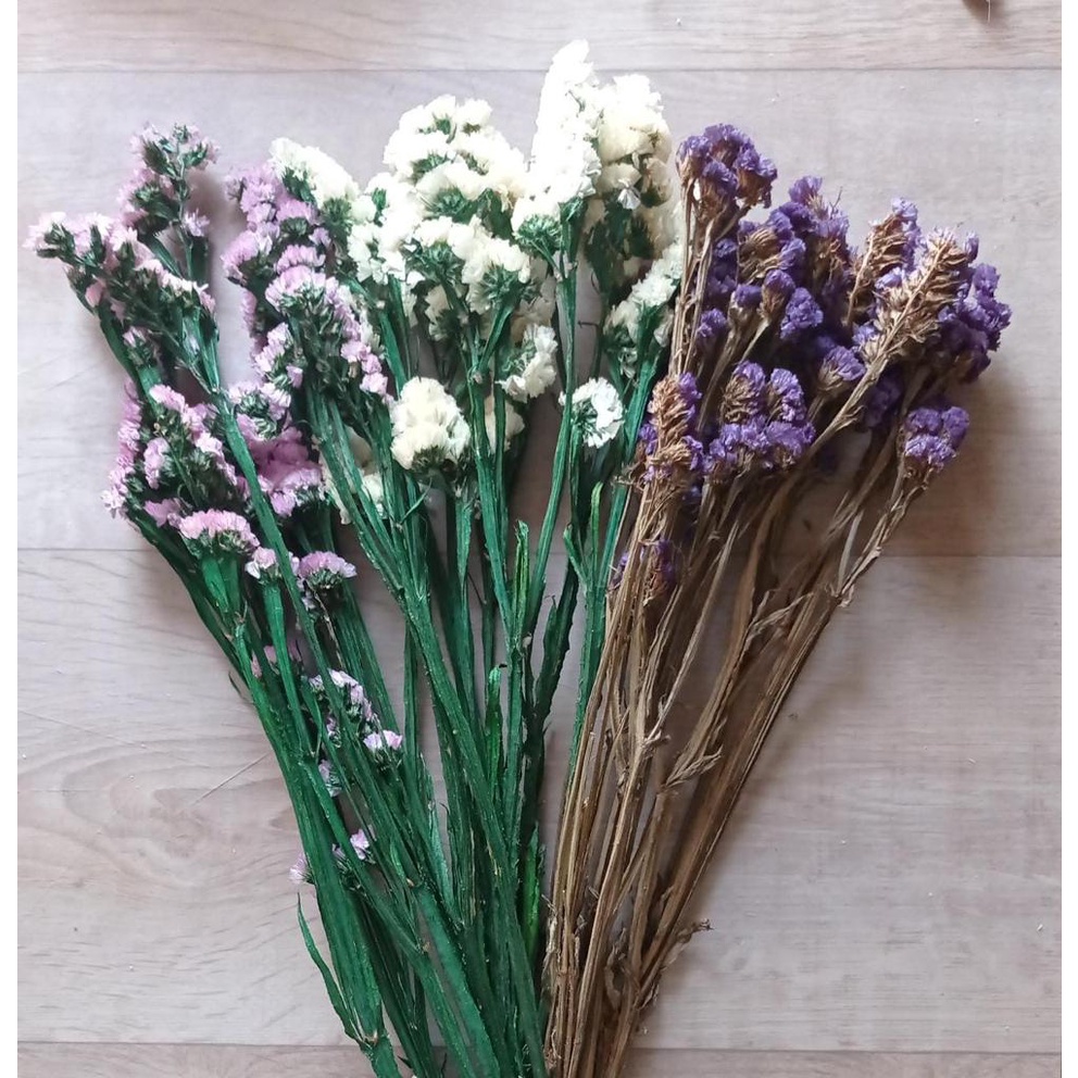 Dried Statice/ Bunga kering statice Per Pack