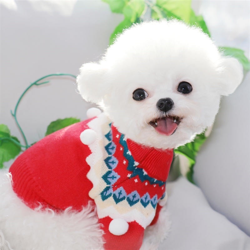 Sweet Joy SWEATER