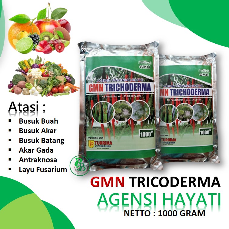 PUPUK Trichoderma SP cegah busuk akar, Fungisida Hayati trikoderma Padat 1 kg