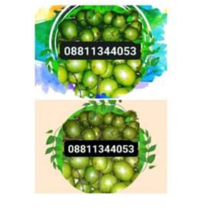 

(A-AZO} (♫♪} BUAH GANDARIA / BUAH JATAKE / BUAH SEGAR / BUAH PETISAN