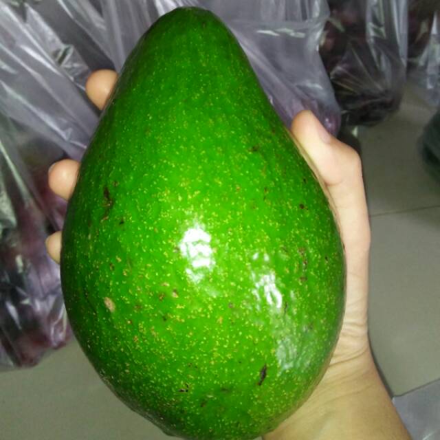 

Alpukat mentega