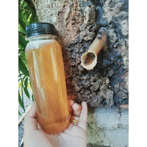 

Madu klanceng MaRi