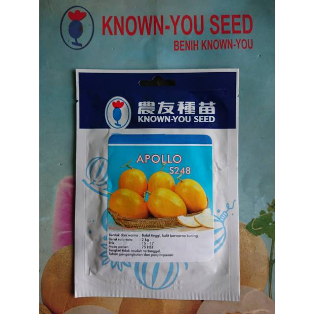 Benih Biji Melon Golden APOLLO F1 20gr Original