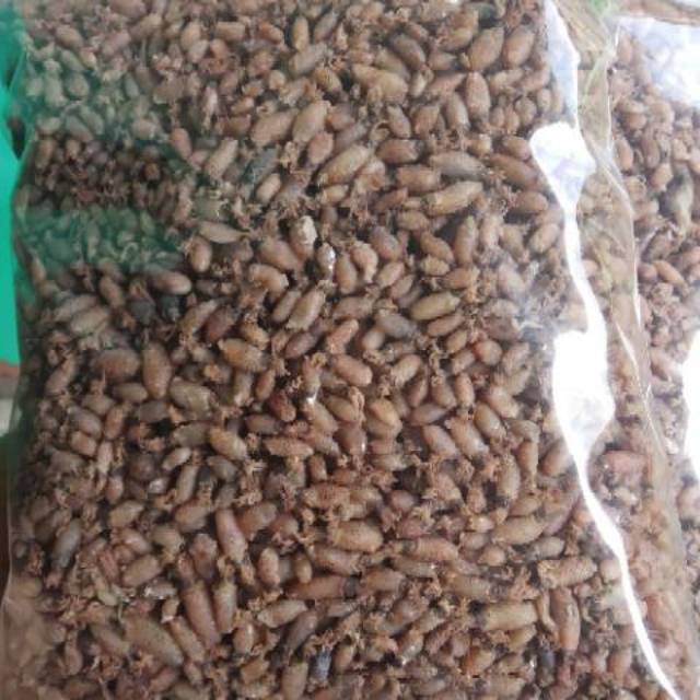 

BABY CUMI 1kg kualitas PREMIUM Grade A