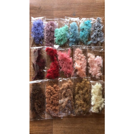 Asparagus Bintang Preserved 5gr