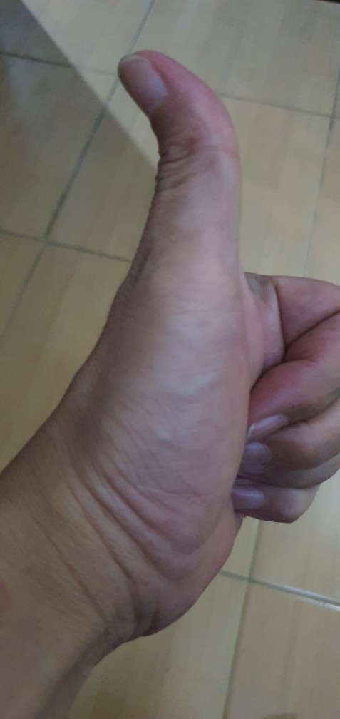 Mata Bor Gerinda 5pcs Alat Kikir Ukir Kayu Rasp Set Woodworking Diy Craft Ball Oval Cylinder Large