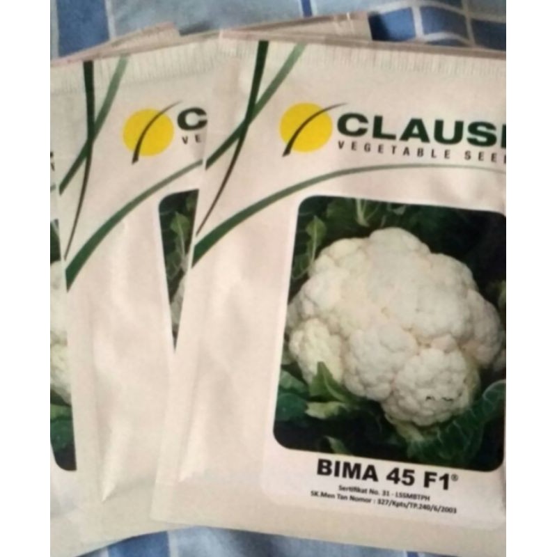 Benih bibit Hibrida bunga kol Bima 45 F1