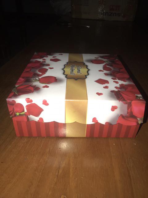 Dus Kotak Nasi / Dus Nasi R8 (ukuran 18 X 18 ) *tutup Tidak Pisah*