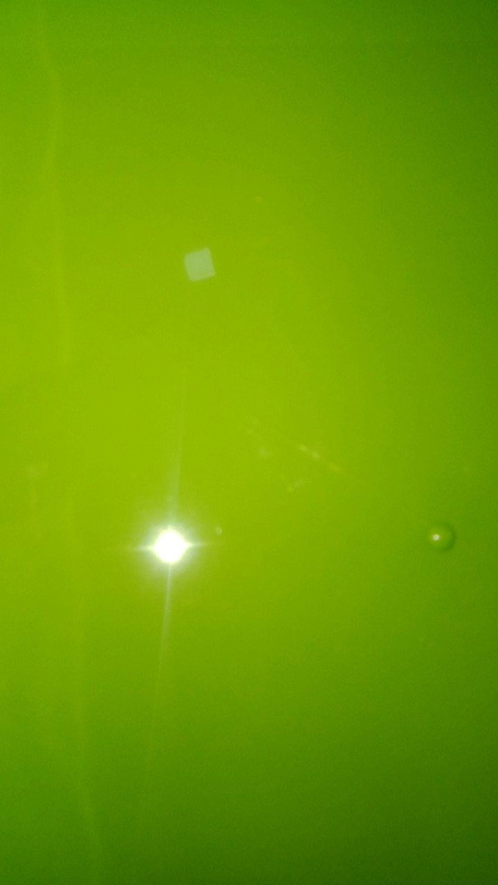 Basi Prasmanan Kotak Gr Green / Kotak Makanan Prasmanan Genki Market