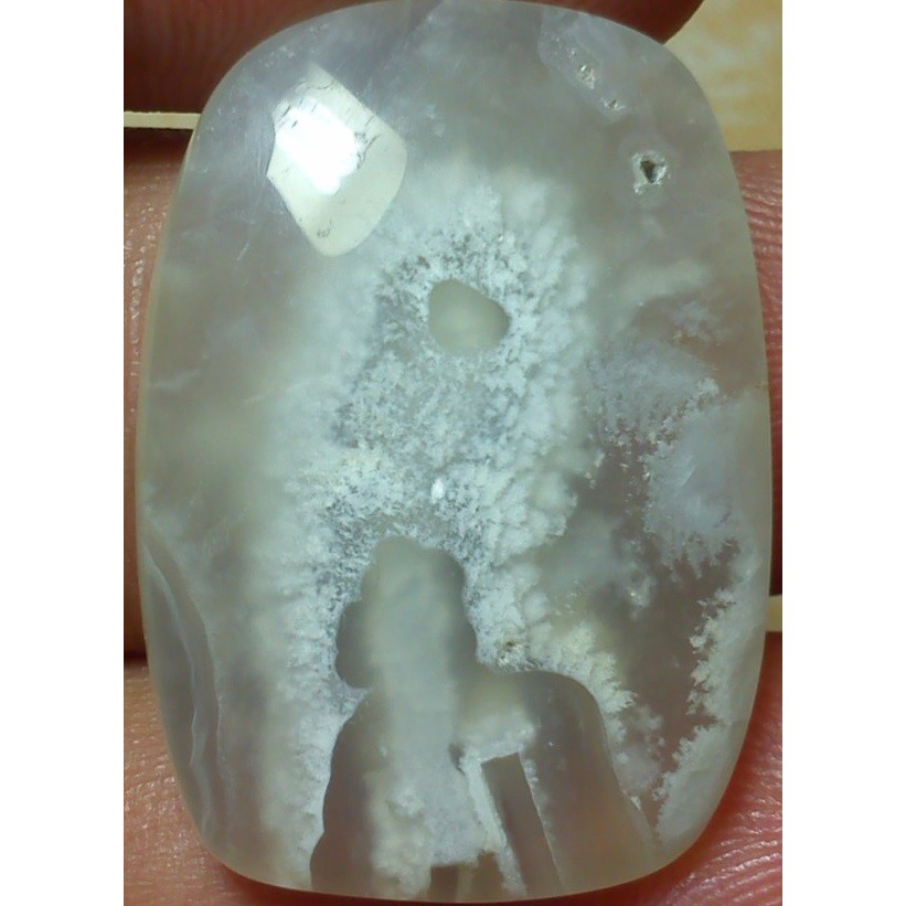 Akik Susup Dalam 3d Bintik Putih Gambar Kepala Burung Merpati