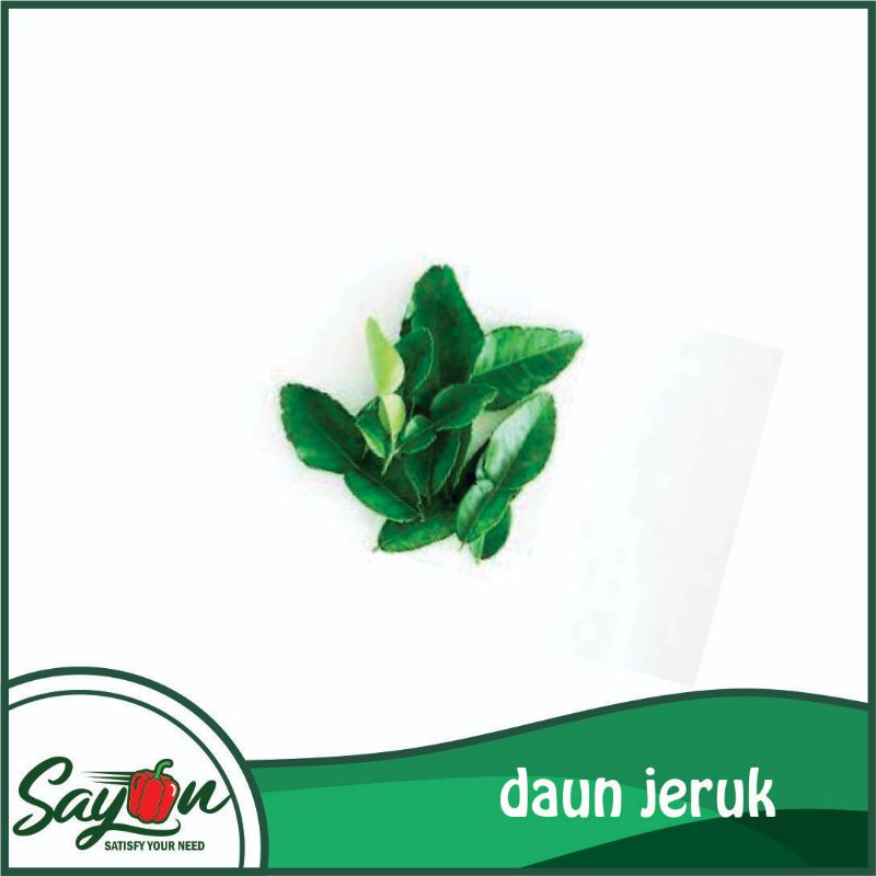 

Daun Jeruk , Daun Penyedap - Sayon Jogja