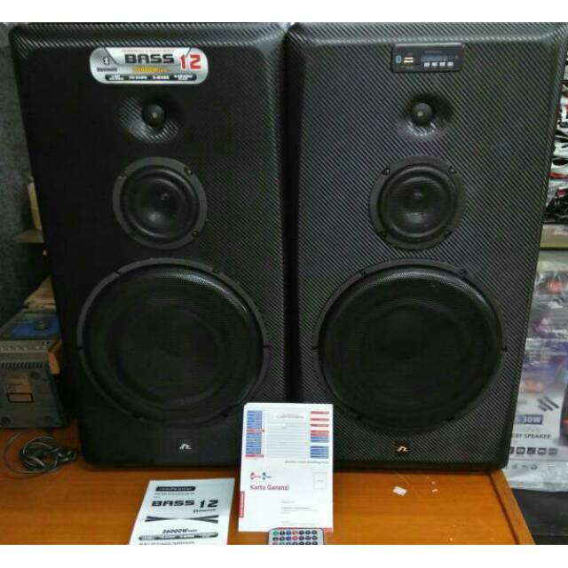 roadmaster 10 inch subwoofer