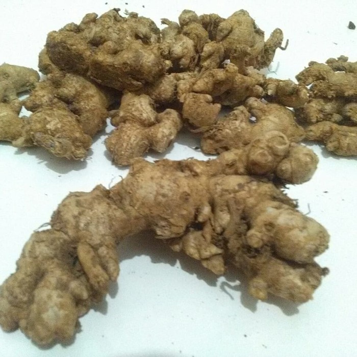 

Jahe Emprit 1 kg (BERKUALITAS)