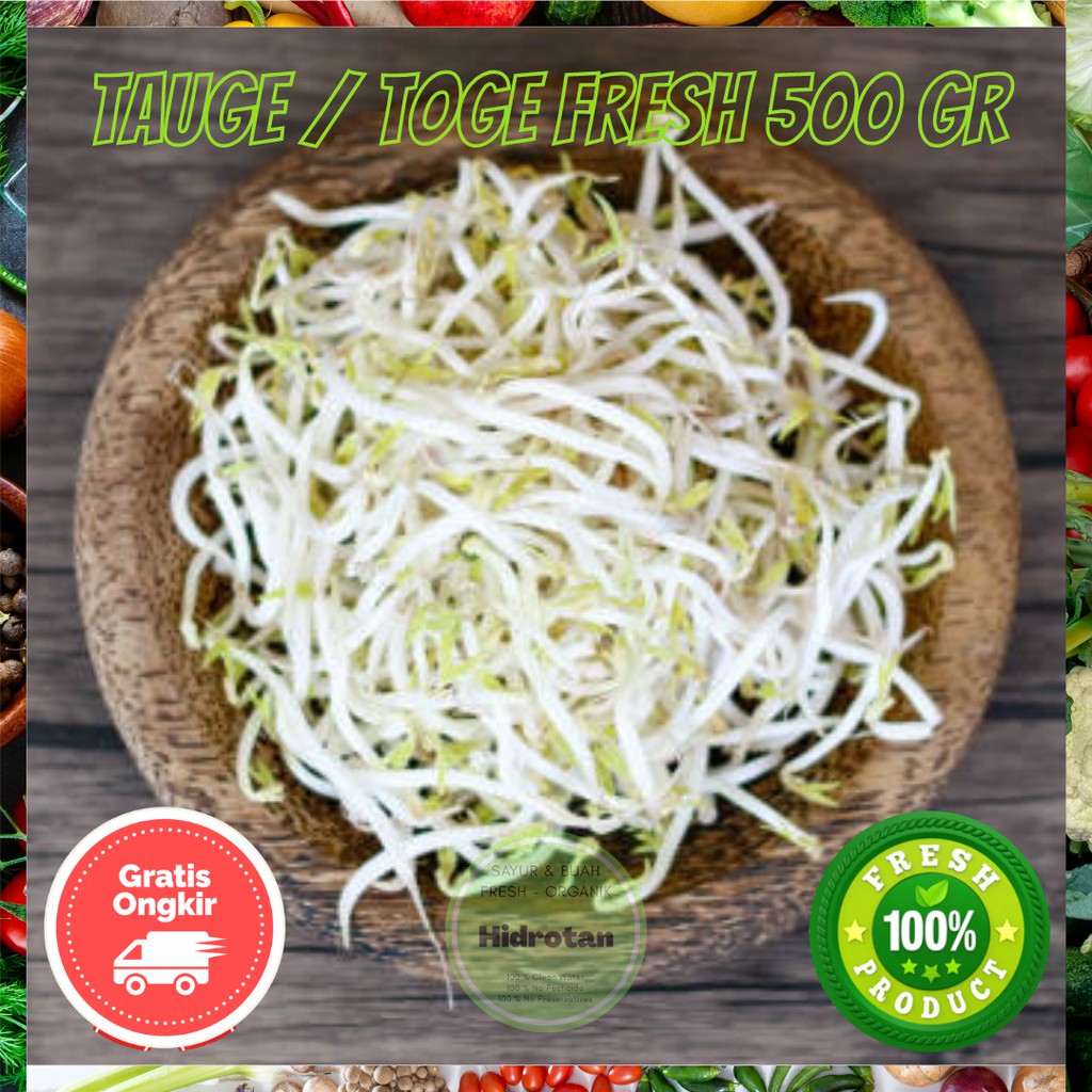 

Toge / Tauge 500 gr - Sayuran Segar Murah | Paket Makanan Combo Fresh - Free Emas