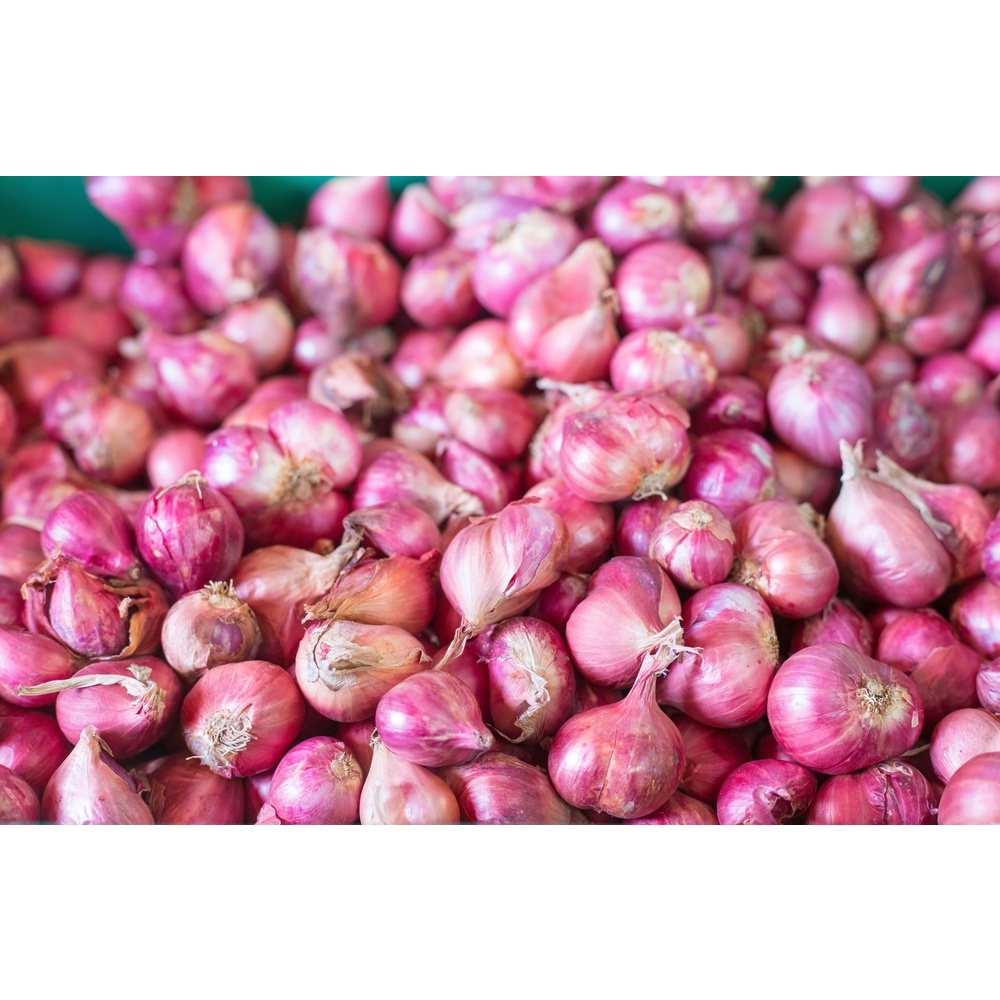 

Bawang Merah Brebes Premium 1kg