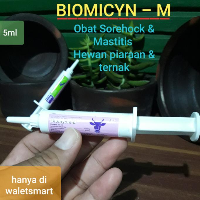 ORIGINAL Biomycin-M Obat Sorehock & Mastitis pada Kelinci Kucing Anjing sapi Asli
