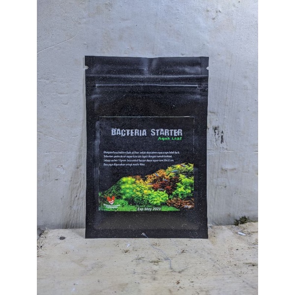 Bacteria Starter