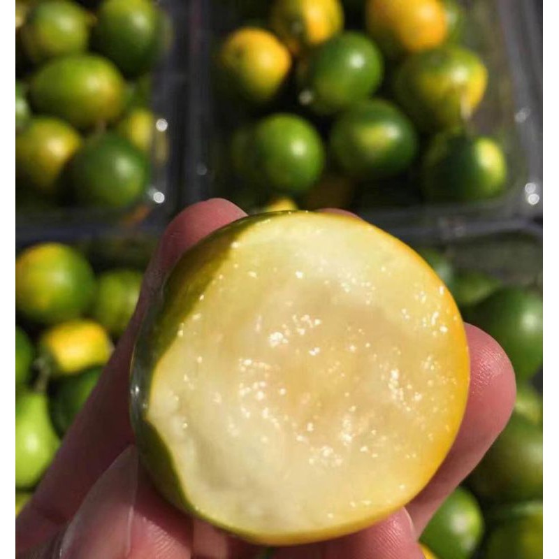 

JERUK KIMKIT MADU FRESH