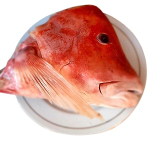 

Kepala Ikan Kakap Merah Segar 2/3 biji/ Fresh Kualitas GARANSI SEGAR