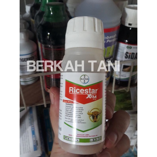 PRODUK- HERBISIDA SELEKTIF PADI RICESTAR XTRA 89 OD - 100 ML OBAT RUMPUT TANAMAN PADI RICESTAR EXTRA