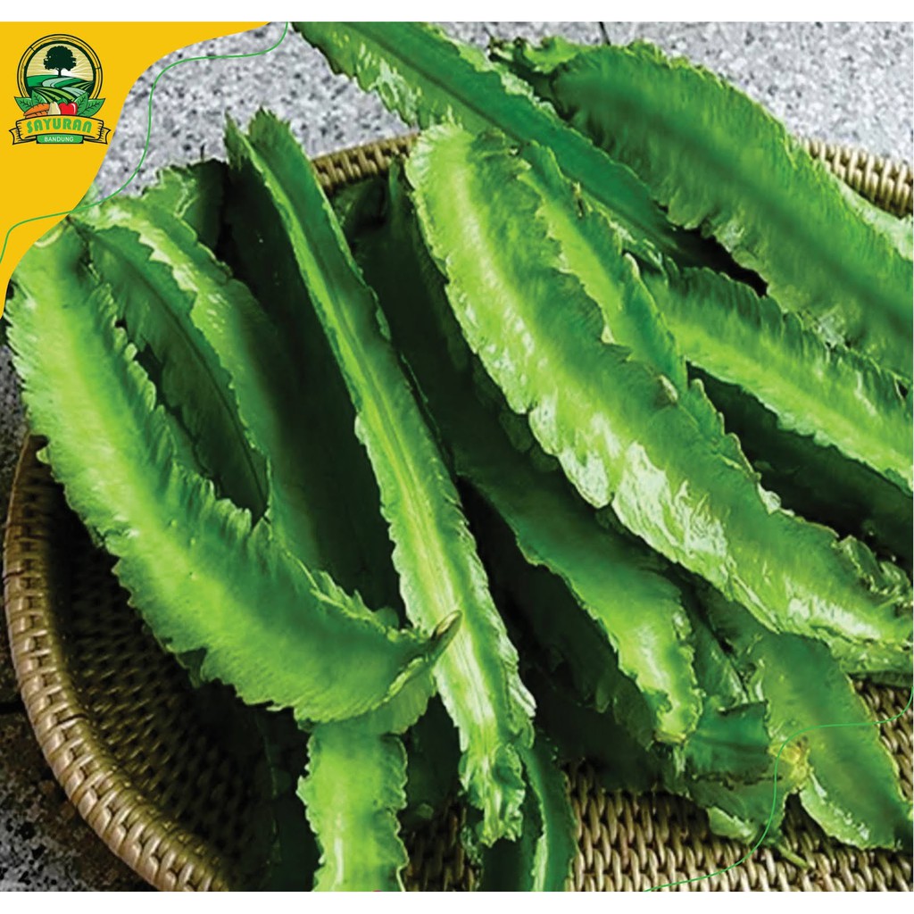 

promo KECIPIR / 250 GRAM