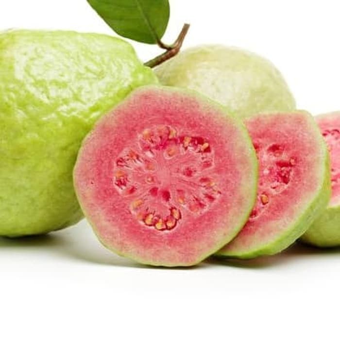 Benih Bibit Biji - Buah Jambu Biji Merah Guava Seeds