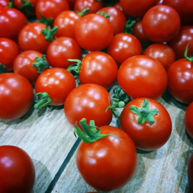

Tomat cherry manis hidroponik cemilan sehat cocok untuk salad