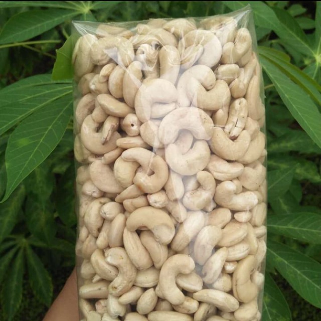 

Kacang Mete Utuh Asli Wonogiri