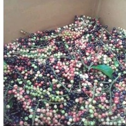 

READY BUAH HUNI 1kg