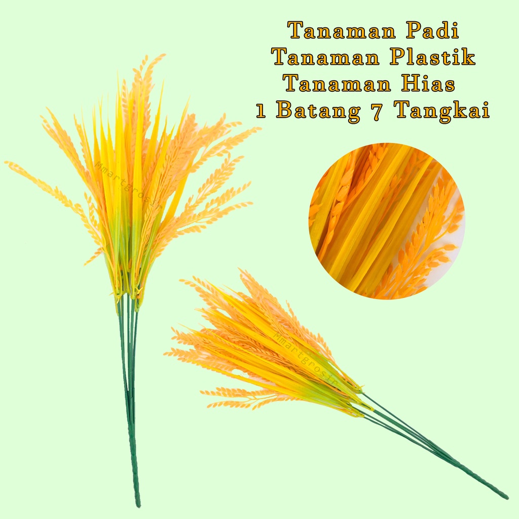 Tanaman padi / Tanaman Plastik / Tanaman Hias / 1 batang 7 tangkai