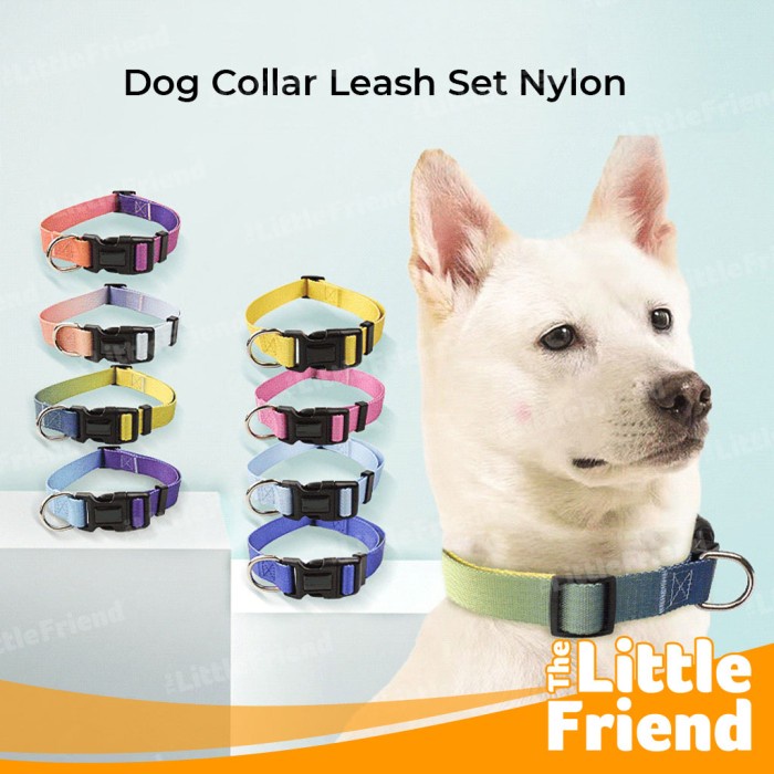 Tali Tuntun Kalung Anjing Dog Collar Leash Set Nylon Warna Mix Ombre