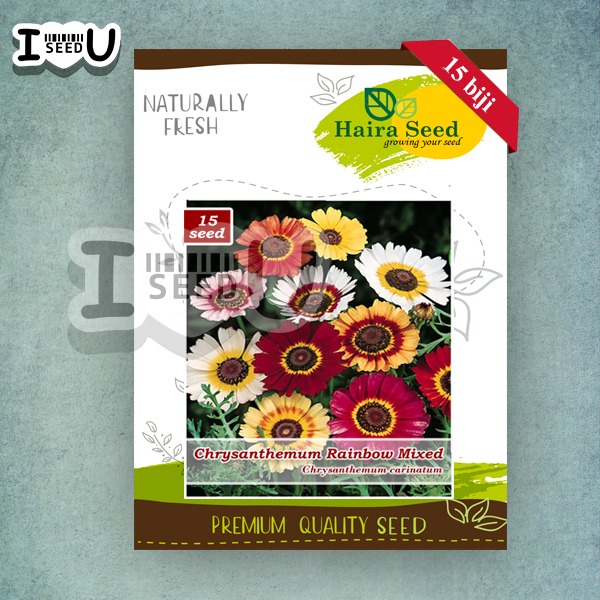 Haira Seed Bibit-Biji Bunga Krisan Rainbow Mix