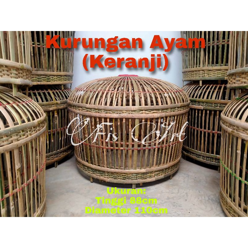 Kurungan Ayam Jago  Berkelas (Jumbo)