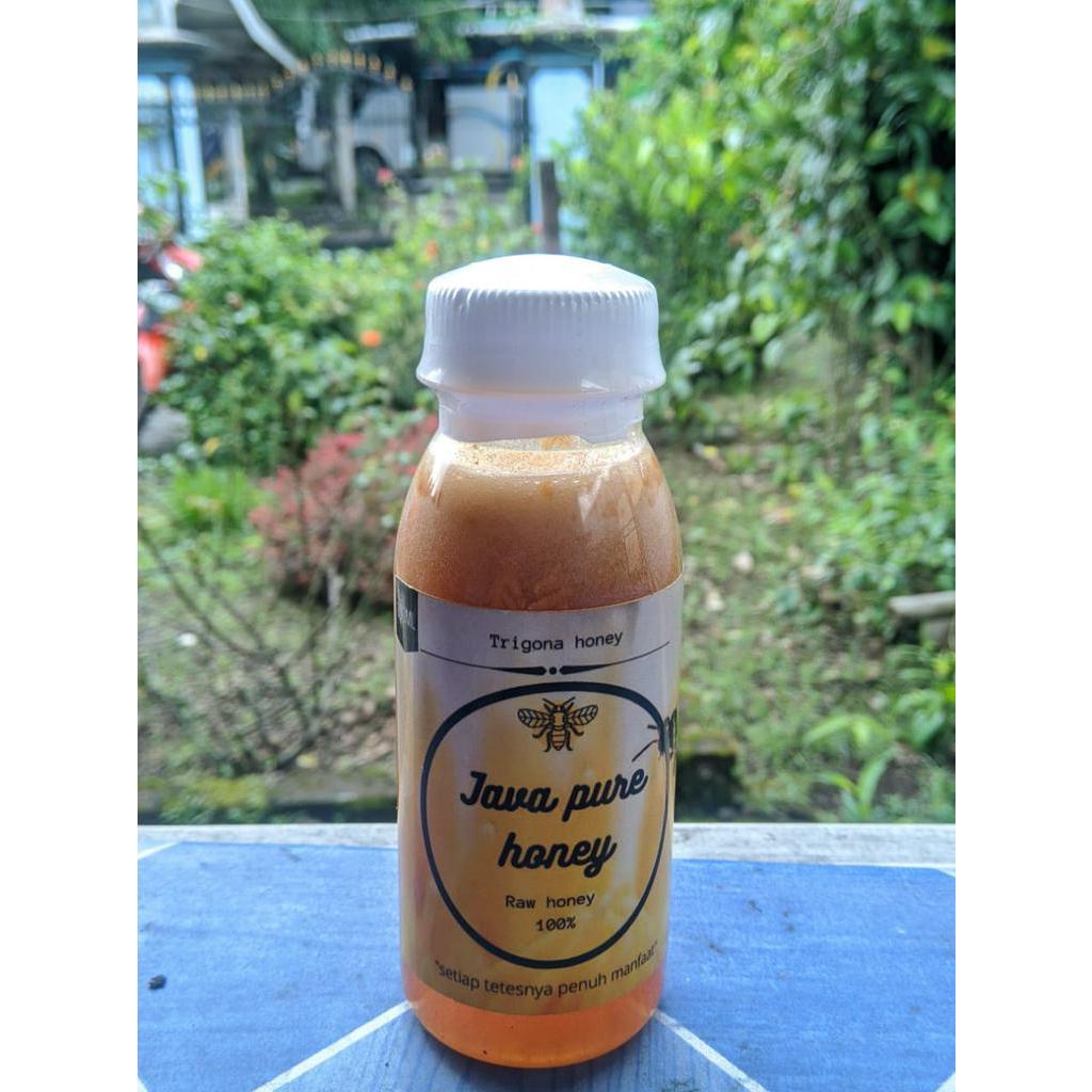 

Madu klanceng kelanceng Trigona murni asli premium 100 ml/150 gr herbal kesehatan