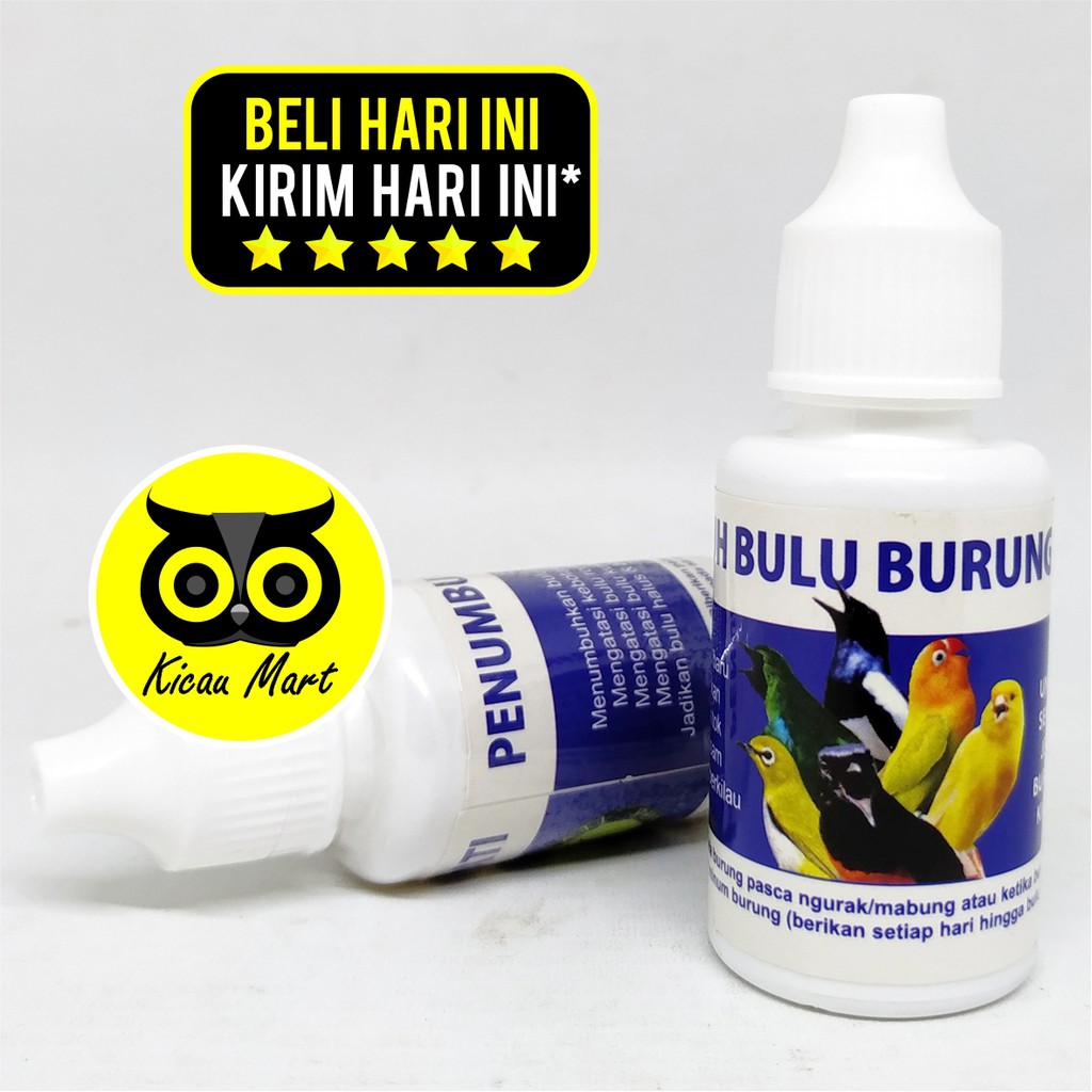 PENUMBUH BULU BURUNG SEMPATI OBAT CABUT BULU RONTOK KUSAM BOTAK UNTUK MURAI KACER LOVEBIRD OBNUMBUH