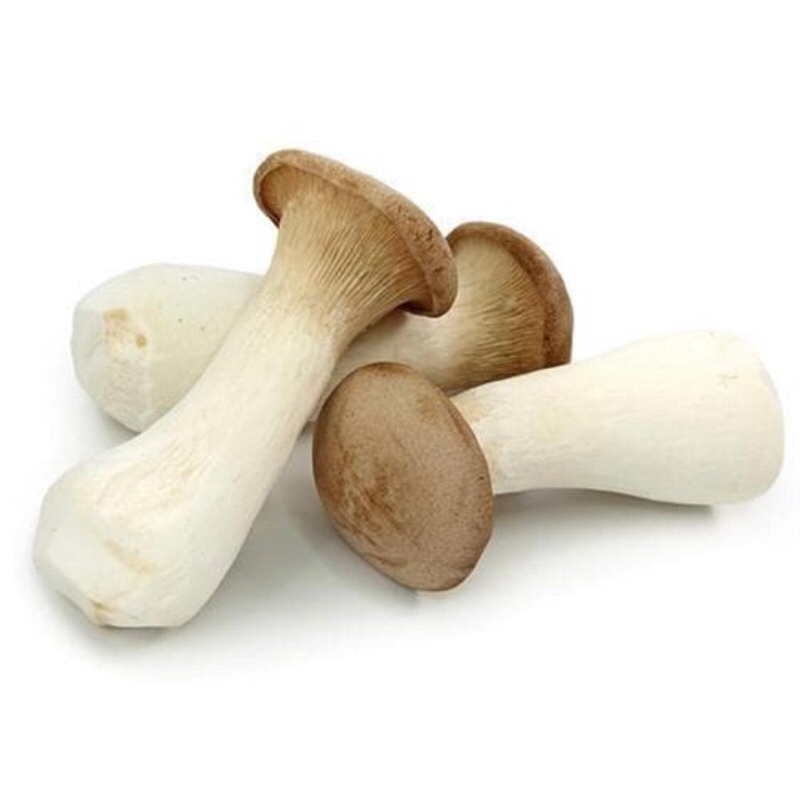 

Jamur Mushroom King Oyster Jumbo - Per Pack 400 Gram