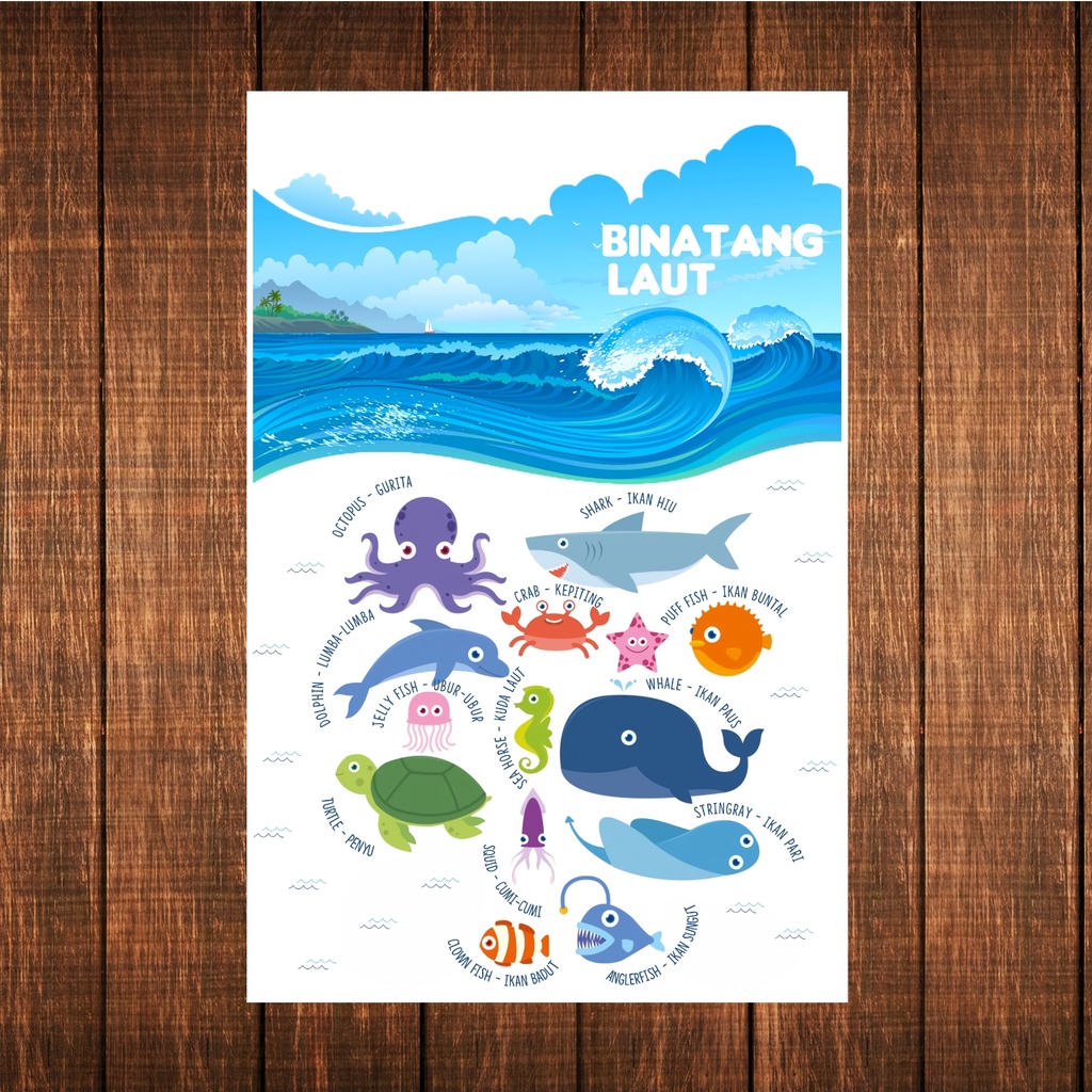 Poster Edukasi/Poster Binatang Laut/Poster Hewan Laut