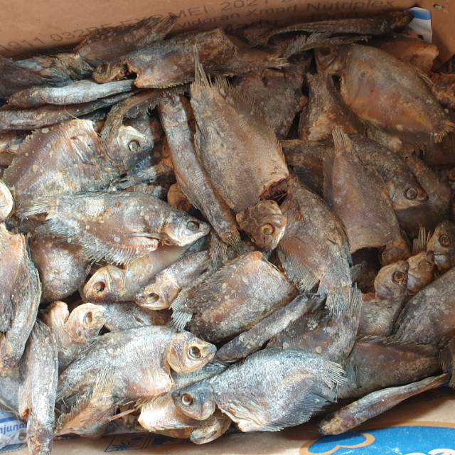 

Ikan Sepat Asin 500gr