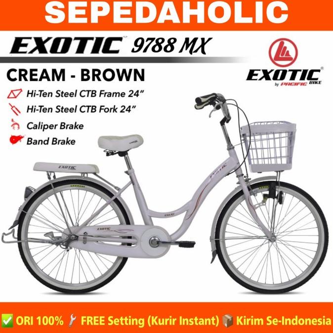 Sepeda Keranjang Dewasa Perempuan Exotic Et 9788 Mx 26 Inch
