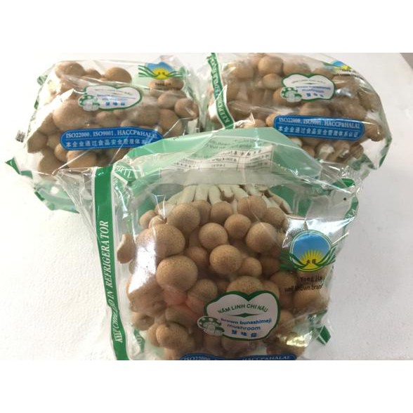 

Promo !! Jamur shimegi coklat Terbaru