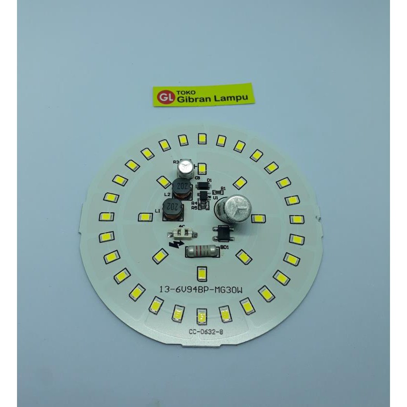 PCB Mata Lampu LED 30w Tanpa Driver - Mata LED AC Langsung 220V (BM)