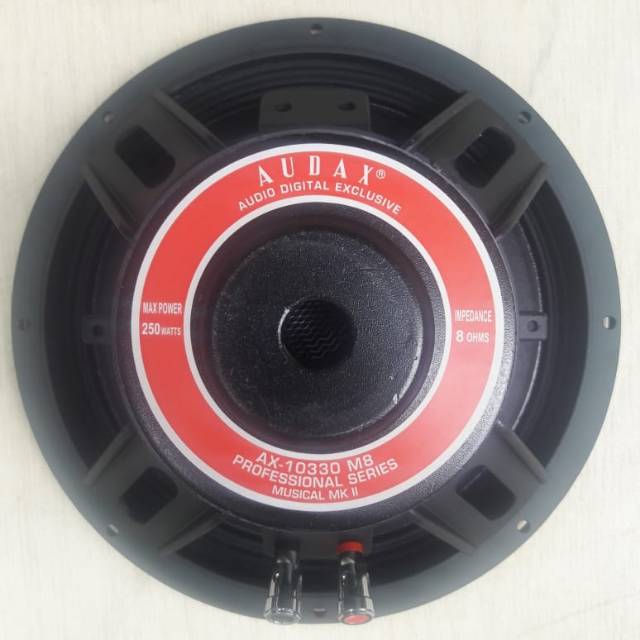 speaker 10 inch audax
