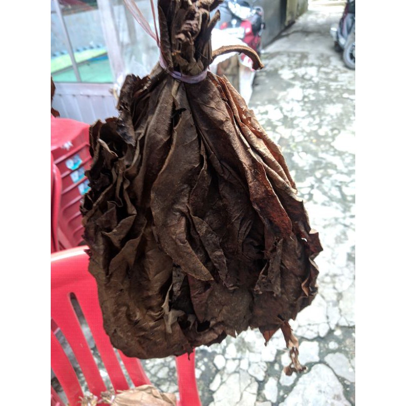 

daun ketapan olahan 1 ikat isi +20 pcs