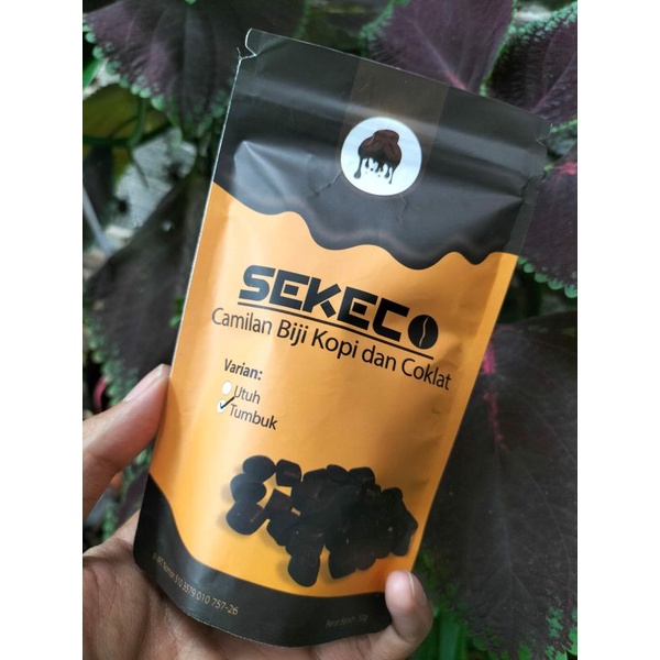 

SEKECO (Sokelat Kangge Coffee)