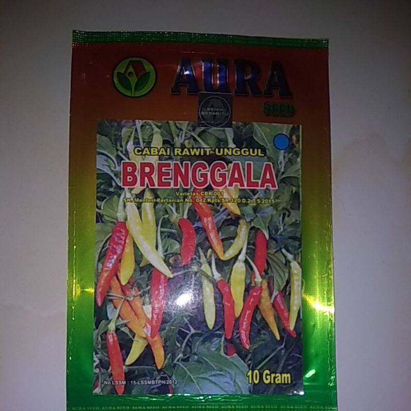 Cabe Rawit BRENGGALA dari AURA SEED