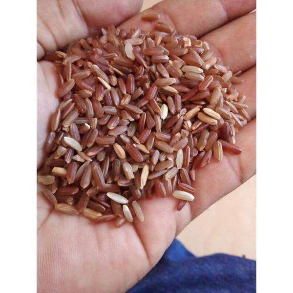 

Beras Merah