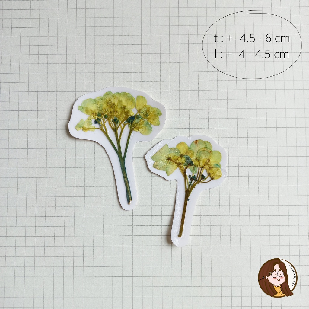 

Hydrangea Dried & Pressed Flower Sticker/ Stiker Bunga Tekan (u/kerajinan tangan, hiasan, journal)