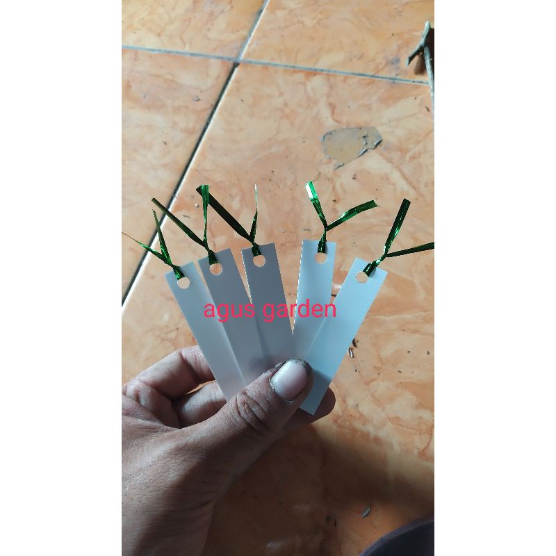 

kertas name/ID