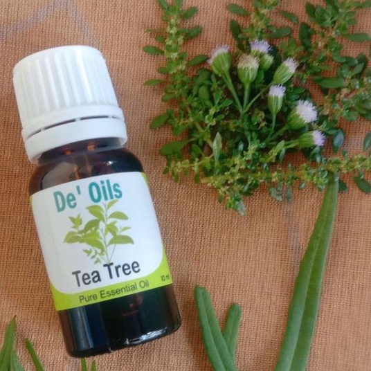 De'Oils Tea Tree Essential Oil Murni Aromaterapi 10ml Minyak Atsiri Murni Berkualitas Imune Booster Alami Difuser Humidifier