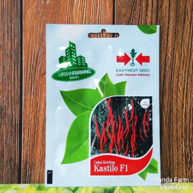 Benih Biji Bibit Cabai Keriting Kastilo F1Panah Merah Benih Lombok Benih Bibit Cabe Pedas Murah Cabe